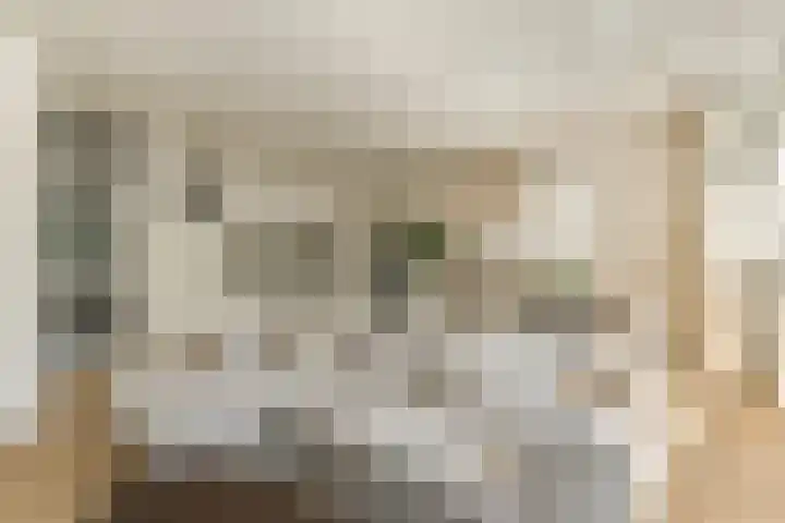 Bolderikkamp 55 Leiderdorp thumbnail 9