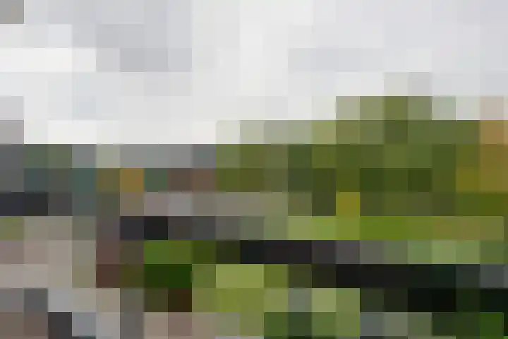 Bolestein 794 Amsterdam thumbnail 18