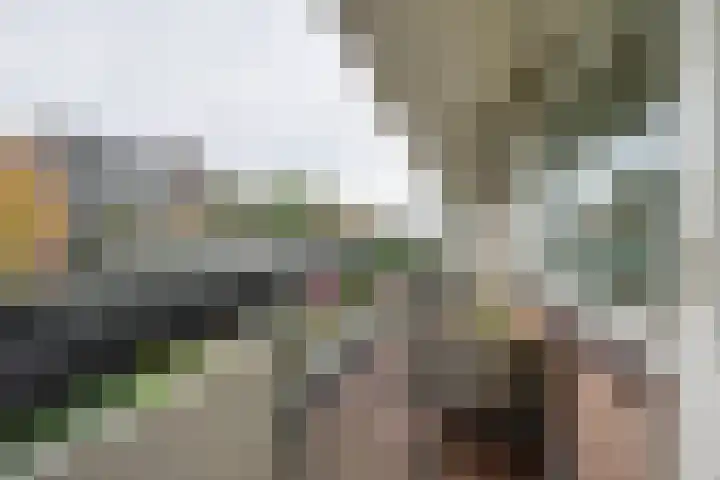 Bolestein 794 Amsterdam thumbnail 19