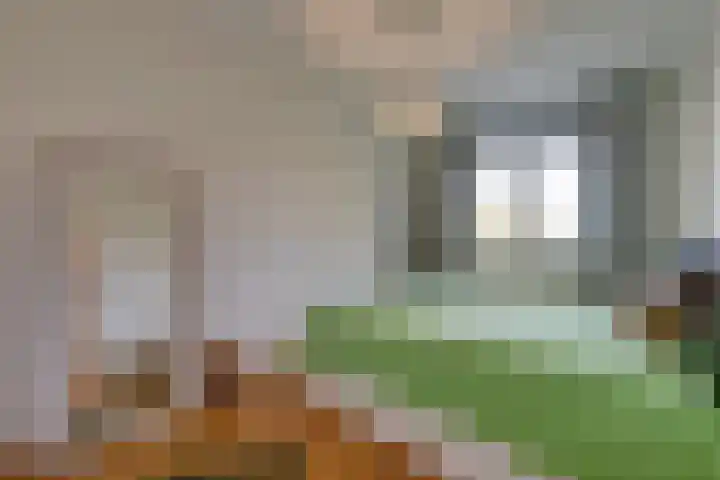 Bolestein 794 Amsterdam thumbnail 21
