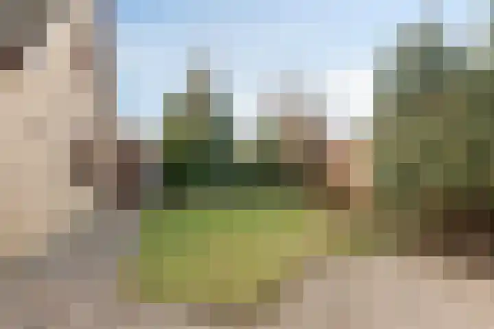 Bollardveen 11 Steenbergen thumbnail 44