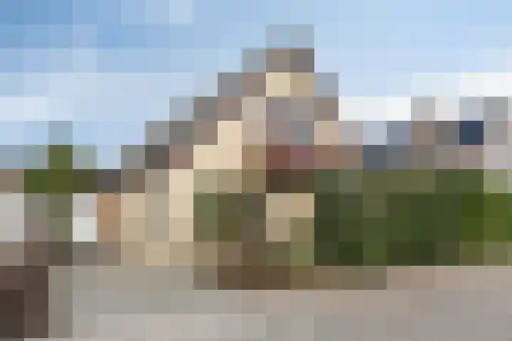 Bollardveen 11 Steenbergen thumbnail 51