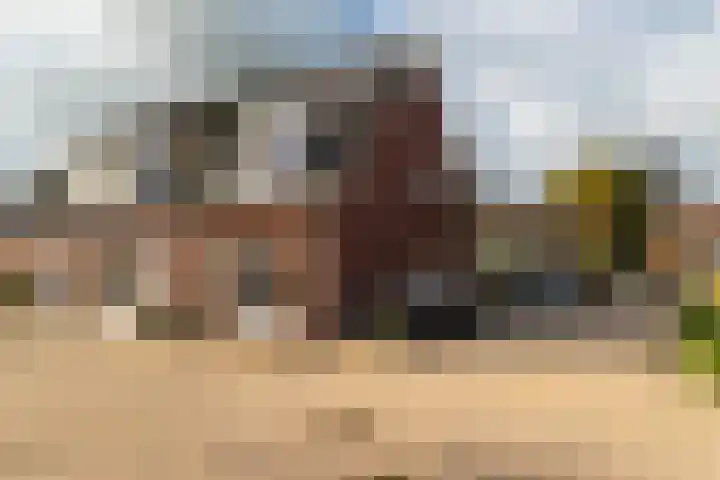 Bollenhoef 20 in Eethen