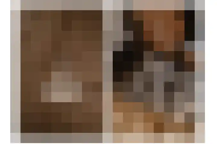 Bollenhoef 4 Eethen thumbnail 18
