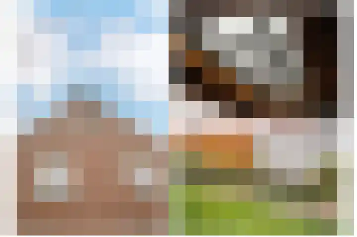 Bollenhoef 4 Eethen thumbnail 40