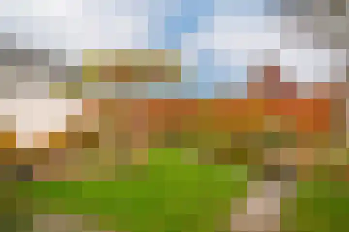 Bollenhoef 4 Eethen thumbnail 44