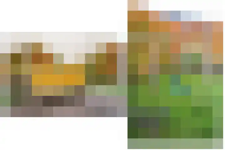Bollenhoef 4 Eethen thumbnail 45