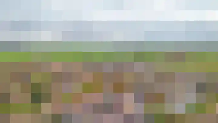 Bollenhoef 4 Eethen thumbnail 57