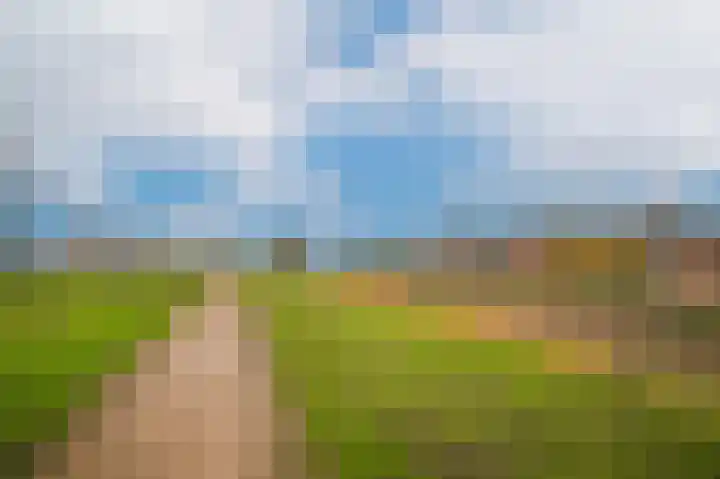 Bollenhoef 4 Eethen thumbnail 59