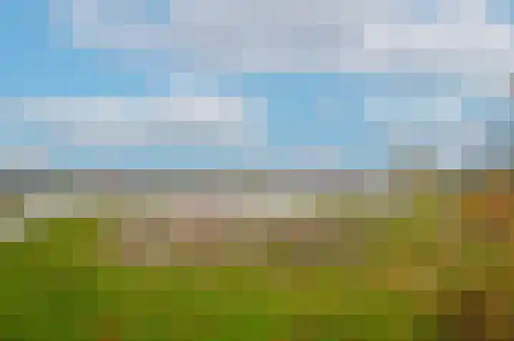 Bollenhoef 4 Eethen thumbnail 60