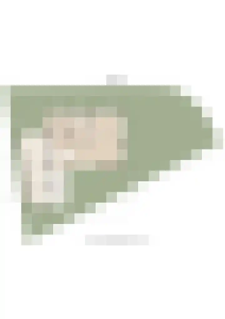 Bollenhoef 4 Eethen thumbnail 61