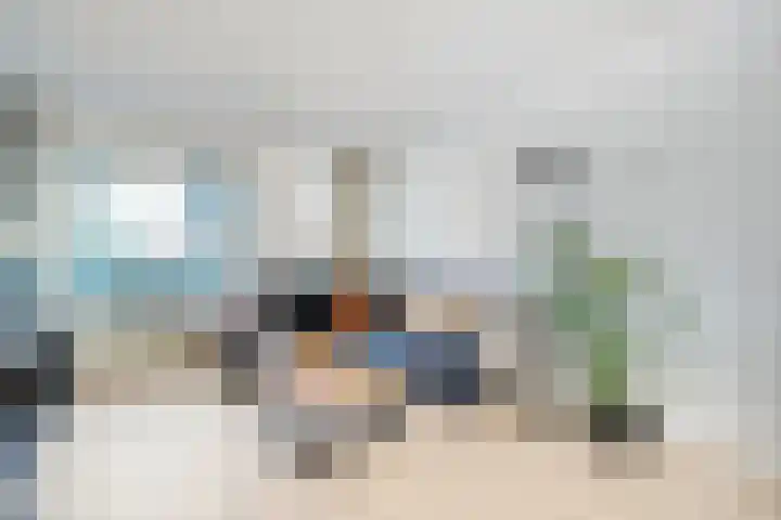 Bolster 11 Zuidwolde thumbnail 17