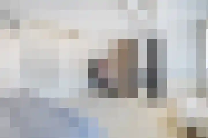 Bolster 11 Zuidwolde thumbnail 25