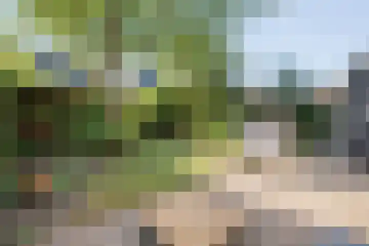 Bolster 11 Zuidwolde thumbnail 38