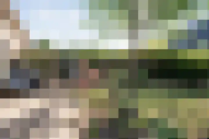 Bolster 11 Zuidwolde thumbnail 40