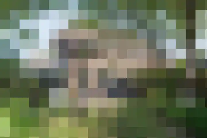 Bolster 11 Zuidwolde thumbnail 42