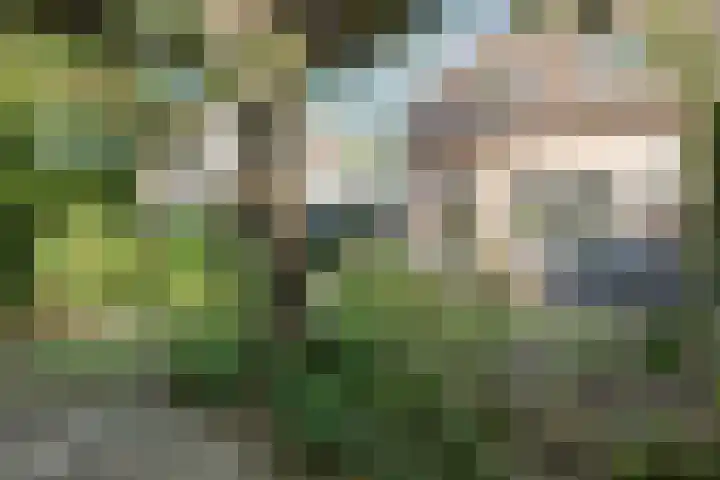 Bolster 11 Zuidwolde thumbnail 43