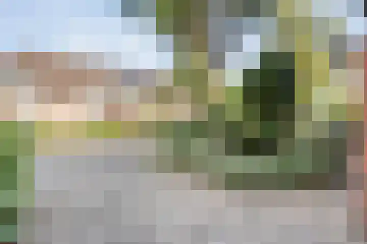 Bolster 11 Zuidwolde thumbnail 46