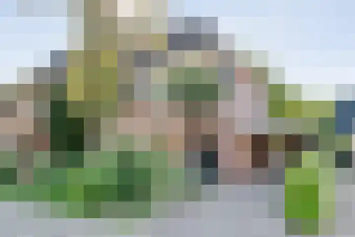 Bolster 11 Zuidwolde thumbnail 52