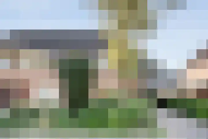 Bolster 11 Zuidwolde thumbnail 6
