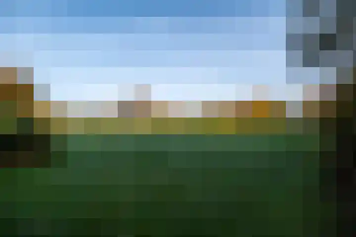 Bolster 25 Peize thumbnail 36