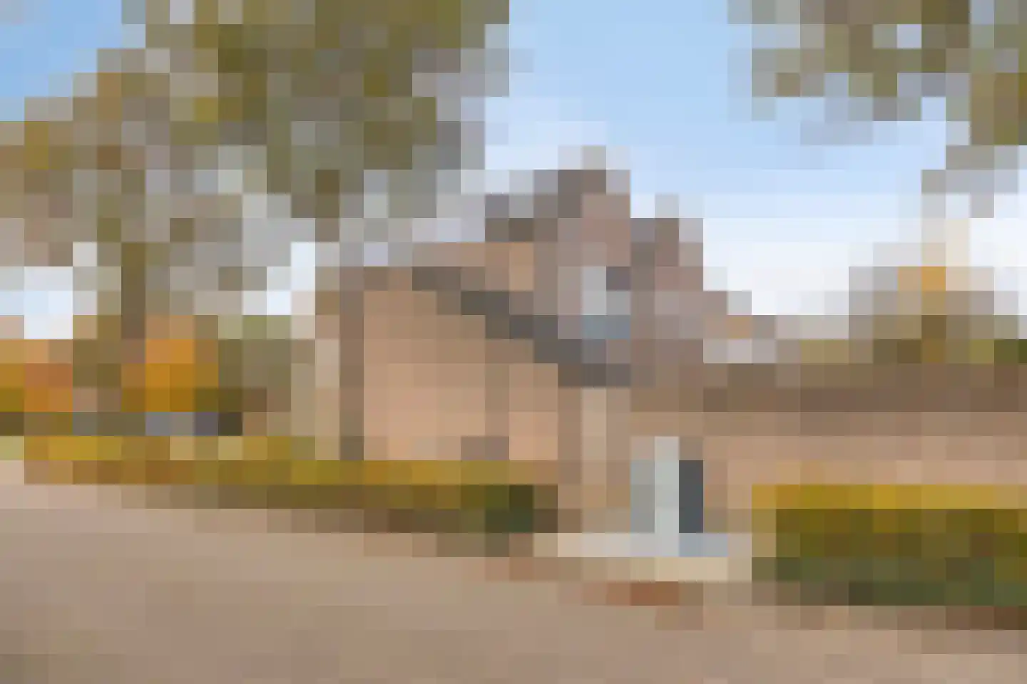 Bolster 7 Peize thumbnail 19