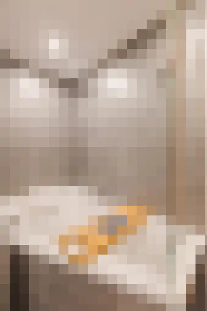 Bolster 7 Peize thumbnail 20