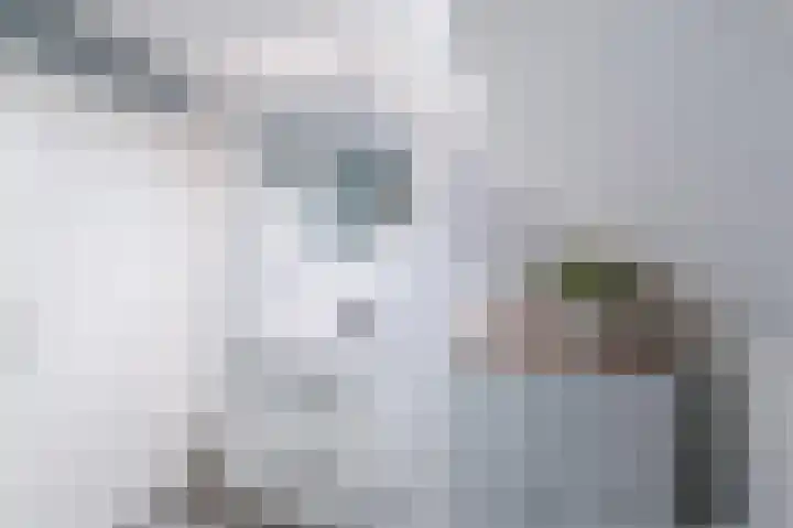 Bolster 7 Peize thumbnail 33