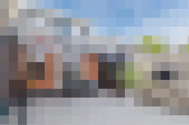 Bolster 7 Peize thumbnail 41
