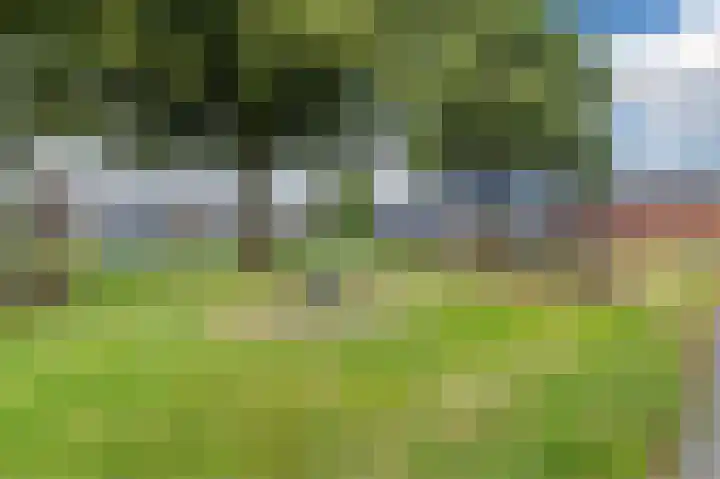 Bolster 7 Peize thumbnail 49
