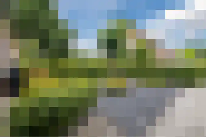 Bolster 7 Peize thumbnail 5