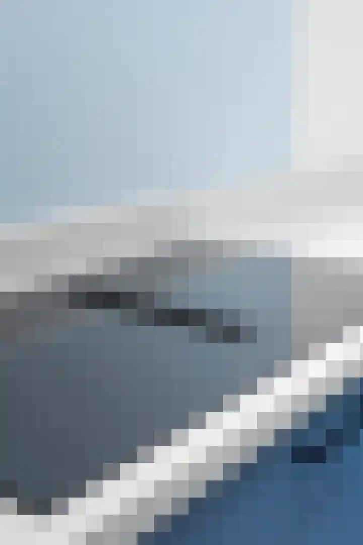 Bolster 7 Peize thumbnail 50