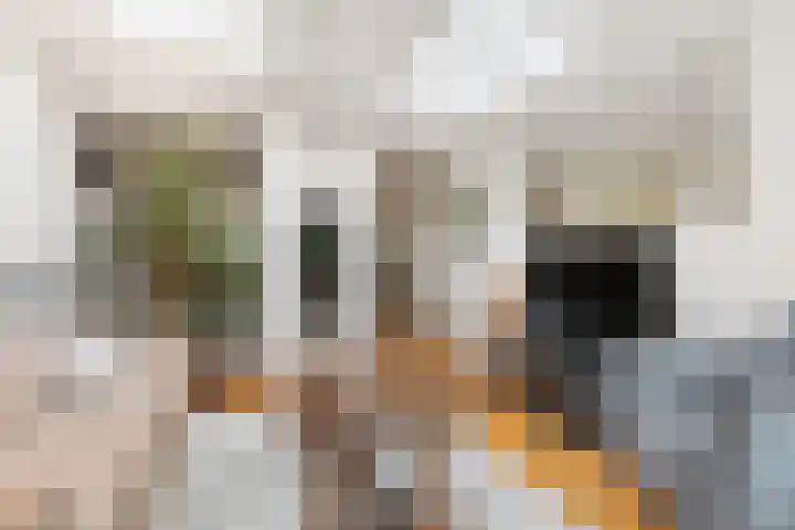 Bolthagen 4 Zevenaar thumbnail 18