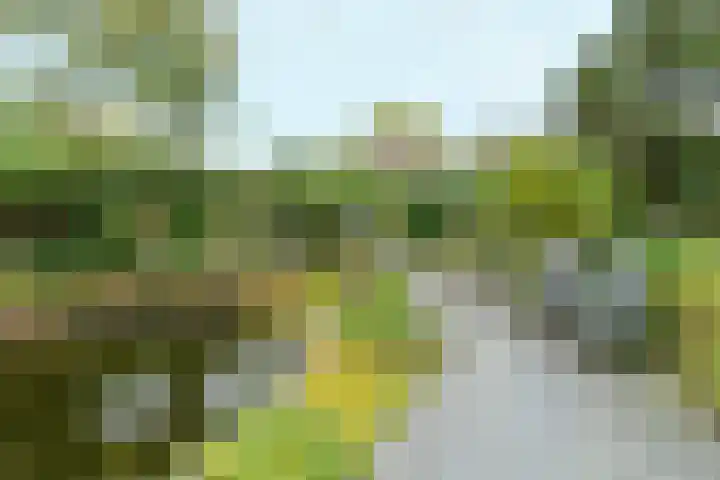 Bolthagen 4 Zevenaar thumbnail 49