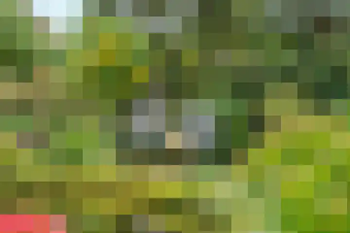 Bolthagen 4 Zevenaar thumbnail 50