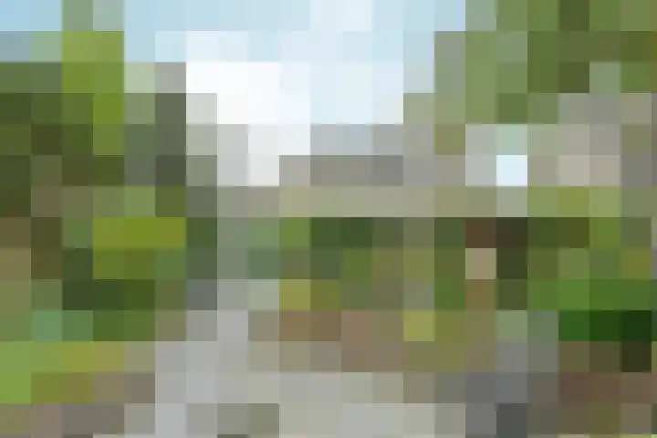 Bolthagen 4 Zevenaar thumbnail 52
