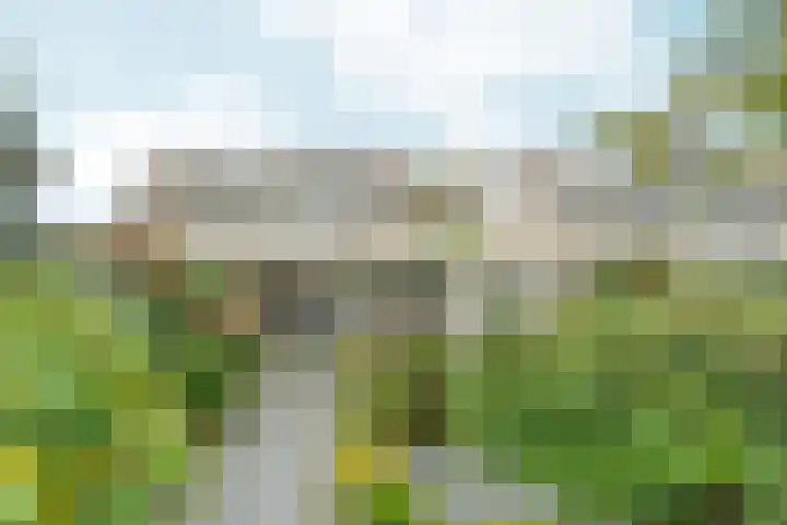 Bolthagen 4 Zevenaar thumbnail 53