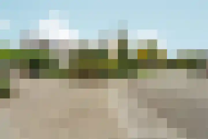 Bolthagen 4 Zevenaar thumbnail 58