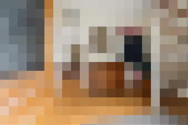 Bolthagen 4 Zevenaar thumbnail 8