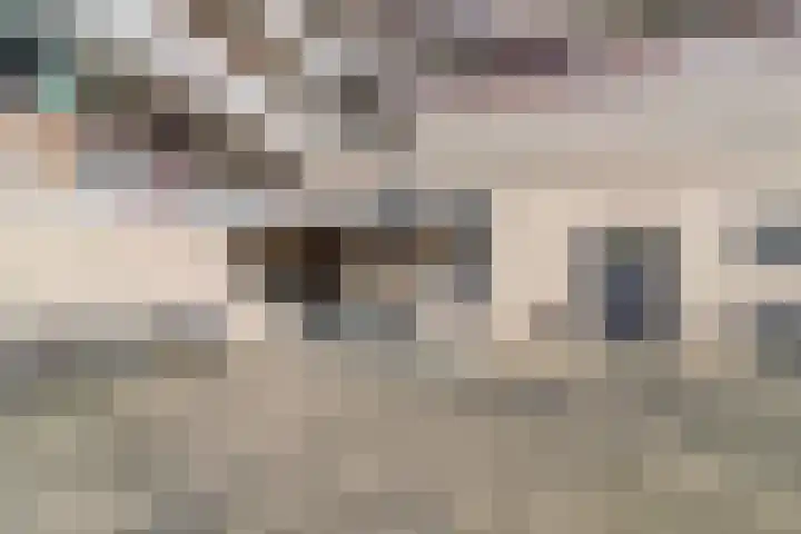 Bomanshof 11 Eindhoven thumbnail 32