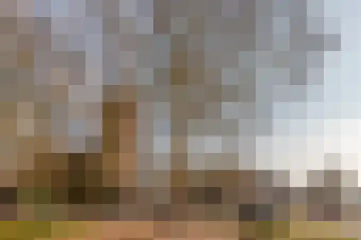 Bomanshof 11 Eindhoven thumbnail 35
