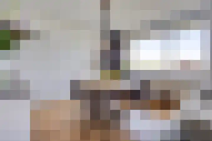 Bomanshof 19 Eindhoven thumbnail 16