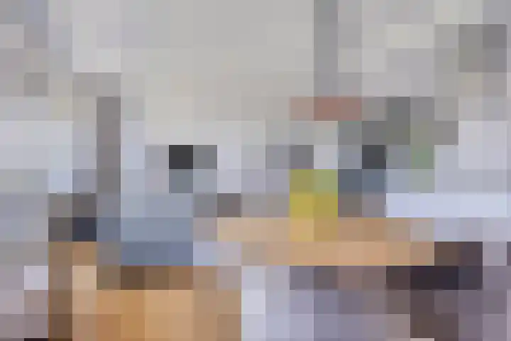 Bomanshof 19 Eindhoven thumbnail 17
