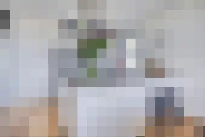 Bomanshof 19 Eindhoven thumbnail 20