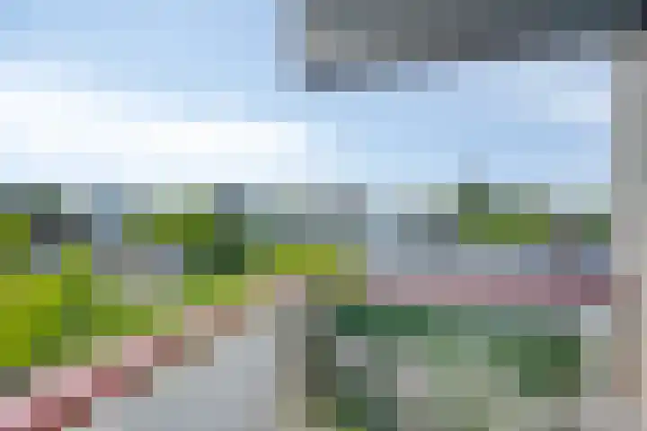 Bomanshof 19 Eindhoven thumbnail 30