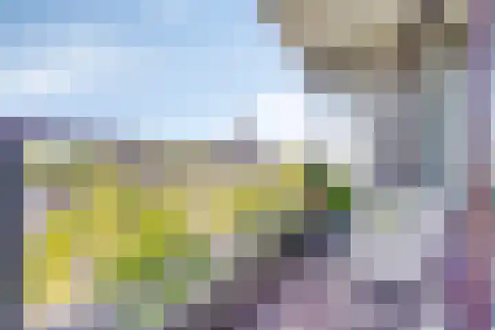 Bomanshof 19 Eindhoven thumbnail 32