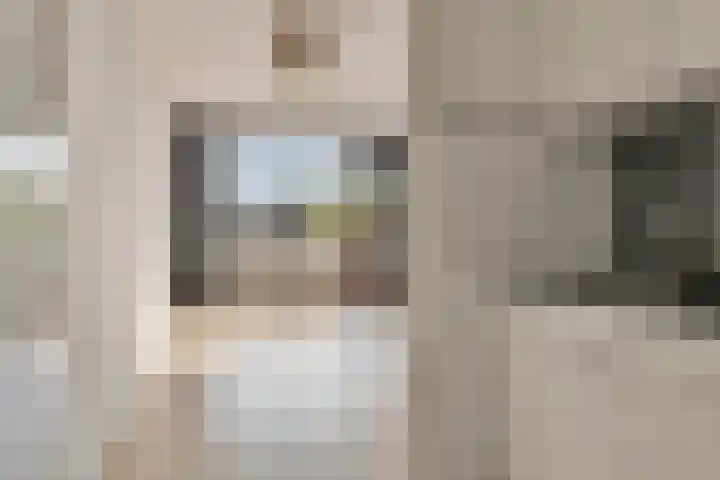 Bomanshof 33 Eindhoven thumbnail 12