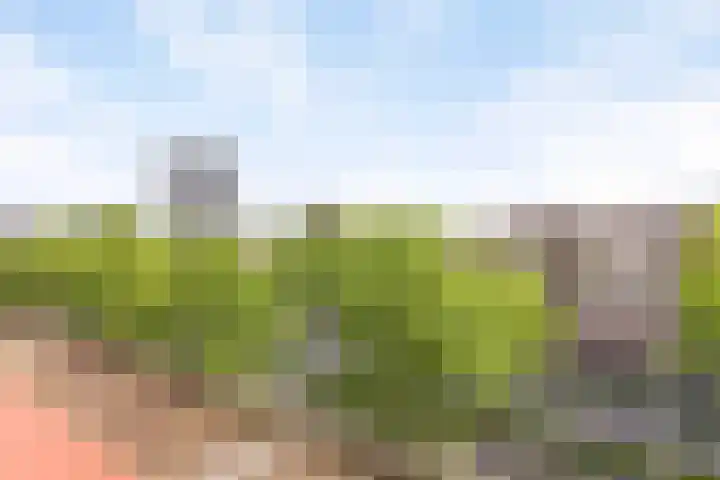 Bomanshof 33 Eindhoven thumbnail 14