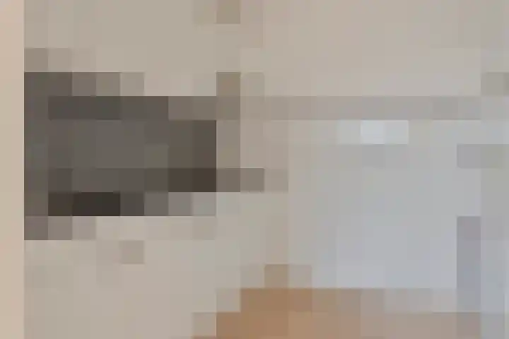 Bomanshof 33 Eindhoven thumbnail 8