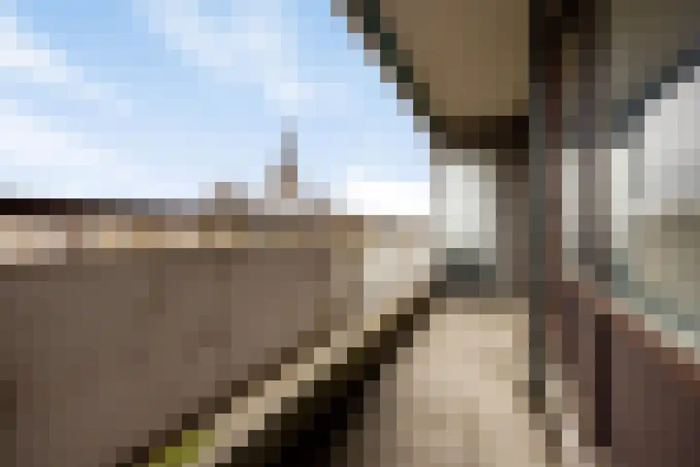 Bomanshof 43 Eindhoven thumbnail 20